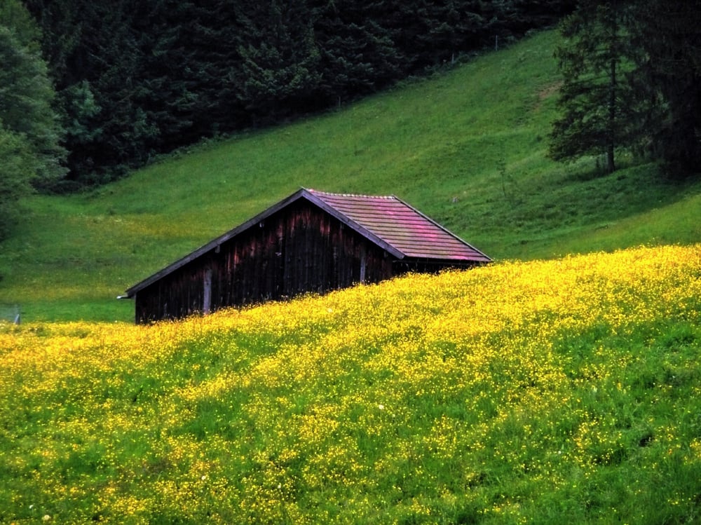 Kochel-Walchensee