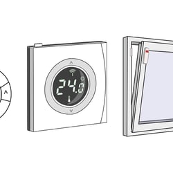 Asset Design in Illustrator