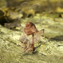 Lavenja. Die Elfe der Pflanzenwelt. Photoshop-Montage