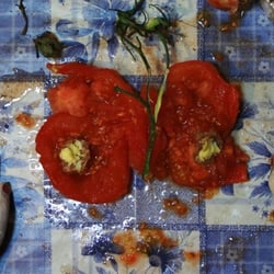 Filmstil_Nosebleed_2