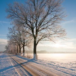 Schneelandschaft