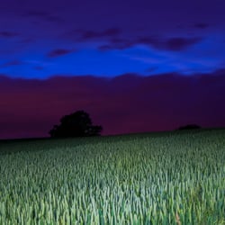 Feld bei Nacht