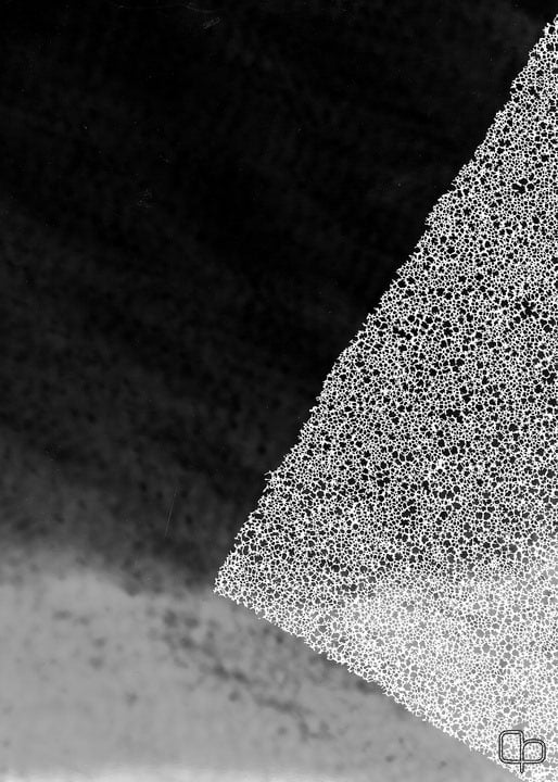 PHOTOGRAMS V