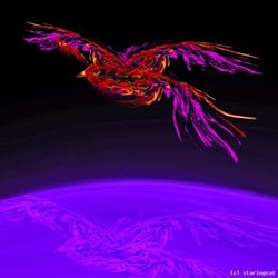cosmic bird