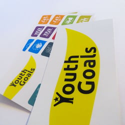 Youth Goals Deutscher Bundesjugendring