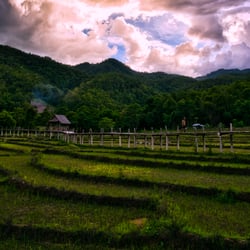 Landschaft-8