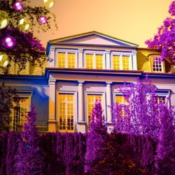 Lila Haus