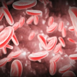 bloodcells