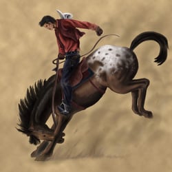 Wild west – Rodeo