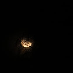 The Moon 2013 by Dina. T