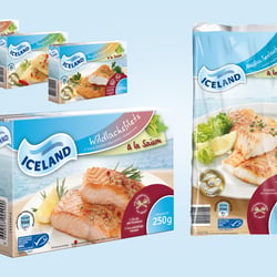 Corporate Design TK-Fisch