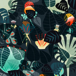 night garden