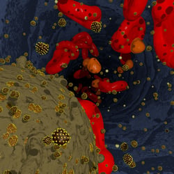 Lymphozyt mit sprossendem HIV