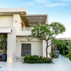 Real Estate