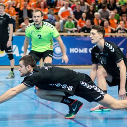 1. Volleyball Bundesliga