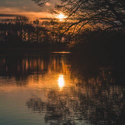Abendstimmung am Biessenhoferweiher, Thurgau