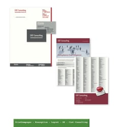 Cint Consulting Geschäftsdrucksachen Layout
