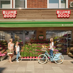 Blume 2000