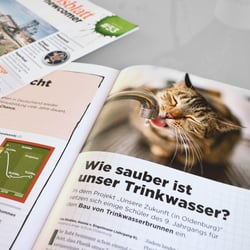Editorial Design Handelsblatt Newcomer