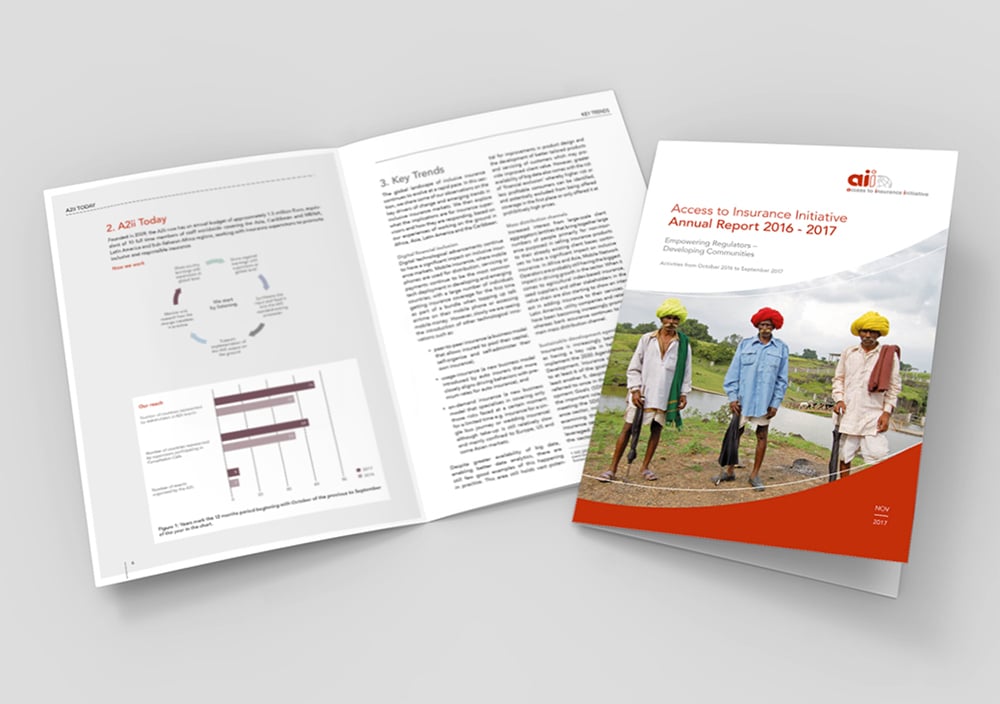 Annual Report 2017 a2ii, GIZ