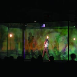 MOVING GALLERY. Performance 2001 – 2003