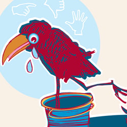 Reader’s Digest Illustration Innenseite Rabe