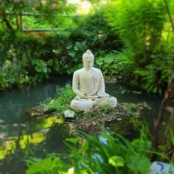 Buddha Seduto E Carpa