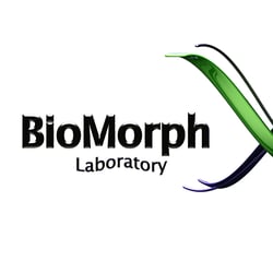 3D – Grafik ,  Logo