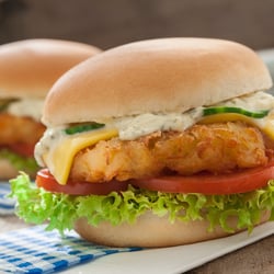 Alpenburger-new 17