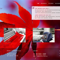 Webseite und Onlineshop für Druckerei, Wordpress, Woocommerce
