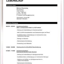 Bewerbungsvorlage Lebenslauf 8