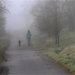 unterwegs im Nebel