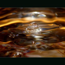 Ohne Titel