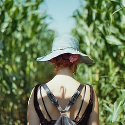 WALKING THROUGH THE JUNGLE