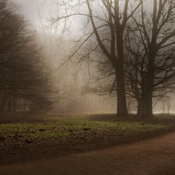 Mensch im Nebel