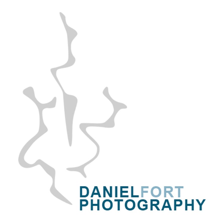Daniel Fort