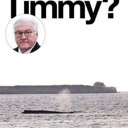 Sind wir alle Timmy?