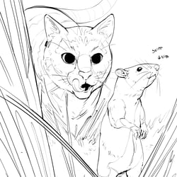 Sketch – Rodent