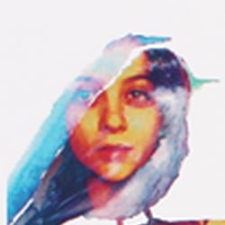 Cover and content of the self-published book“Pinta con Karina: pajaritos chilenos”, 2019.