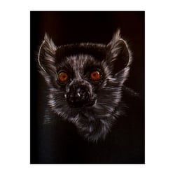 Lemur