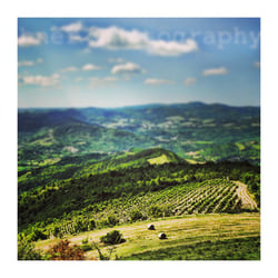 Istria – Croatia