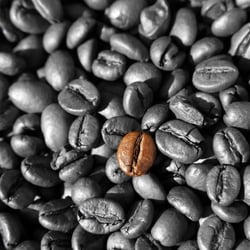 Kaffeebohnen Teilcolorierung