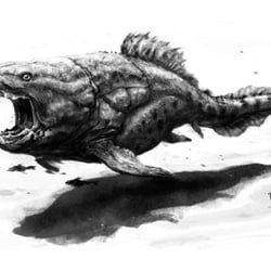 „Dunkleosteus“