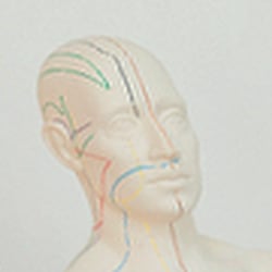 Website Tobias Müller – Heilpraktiker