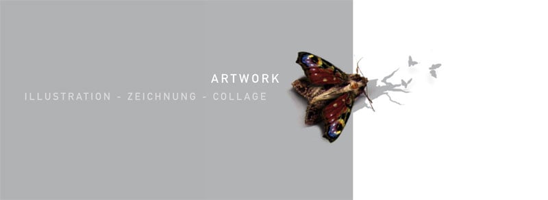 portfolio evalenz illustration cover