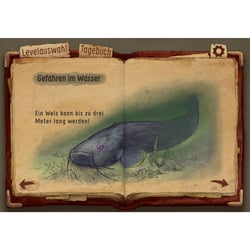 Infoseite Wels