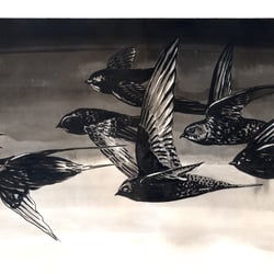 Mauersegler, Illustration nach der Erzählung „Abendflüge“ im gleichnamigen Buch von Helen Mcdonald (Hanser 2020)
