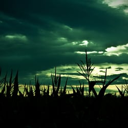 Created & Copyrights by Stephanie Meier