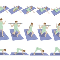 Animationsphasen für Physio-App