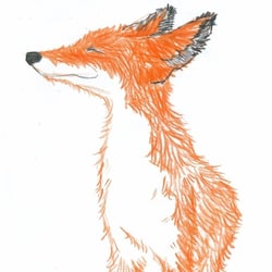Fuchs